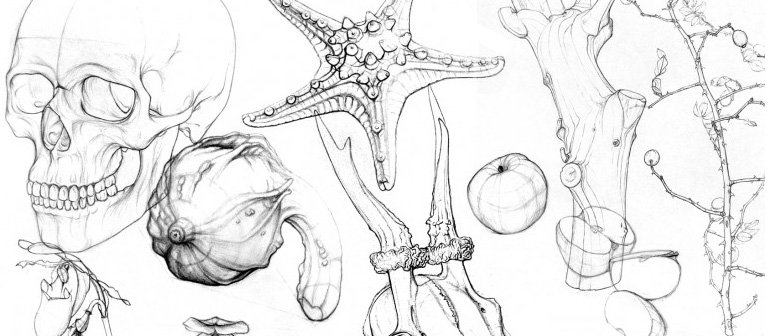 Analytische Zeichnungen