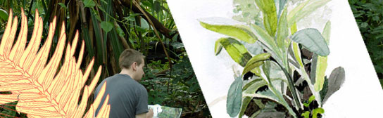 Student zeichnet im Zoo Pflanzen
