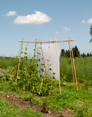 Studentische Arbeit aus dem Objektdesign