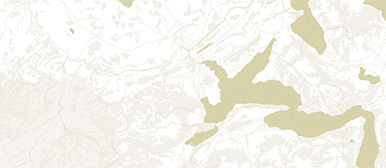 Weiss-grüne Illustration. 
