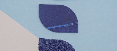 Bachelor Arbeiten 2019