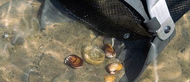 Bachelor Arbeit Objektdesign 2023 Leon Bolz