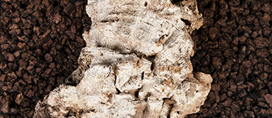 Bachelor Arbeit Objektdesign 2023 Mario Gut