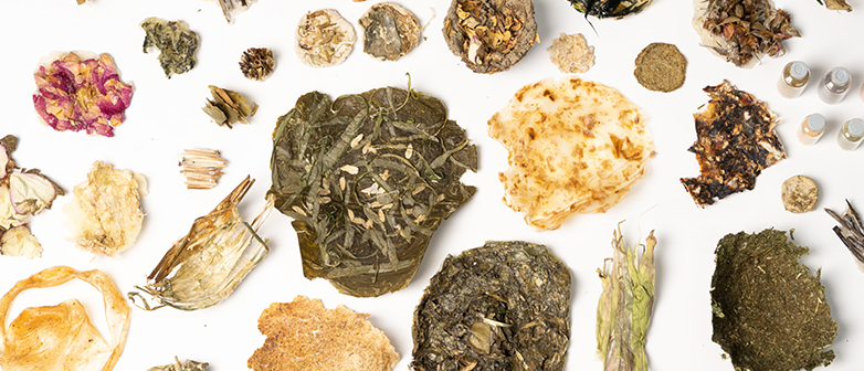     Verschiedene getrocknete Pflanzen, Naturmaterialien und organische Proben sind auf weissem Hintergrund angeordnet.