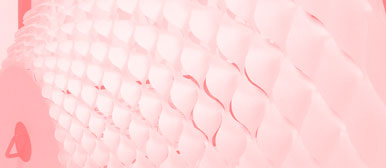 Objektdesign – Arbeiten aus dem 4. Semester