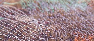 Suzanne Wetzel Video