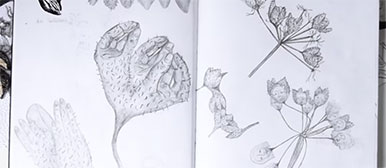 Laurène Affolter Video