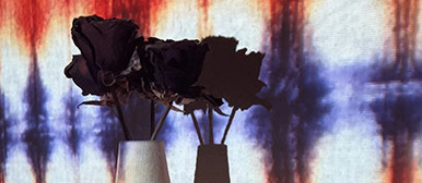 Taira Lamberti Video