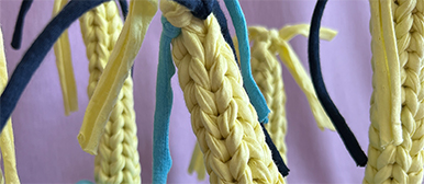 Bachelor-Arbeit Meier