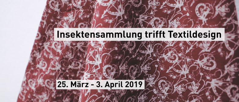 Teaser Insektenausstellung