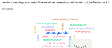 Infografik einer Umfrage