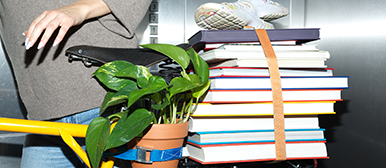 Bücher auf einem Fahrrad