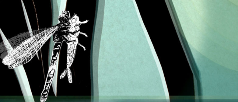 Still Franziska Moltenbrey