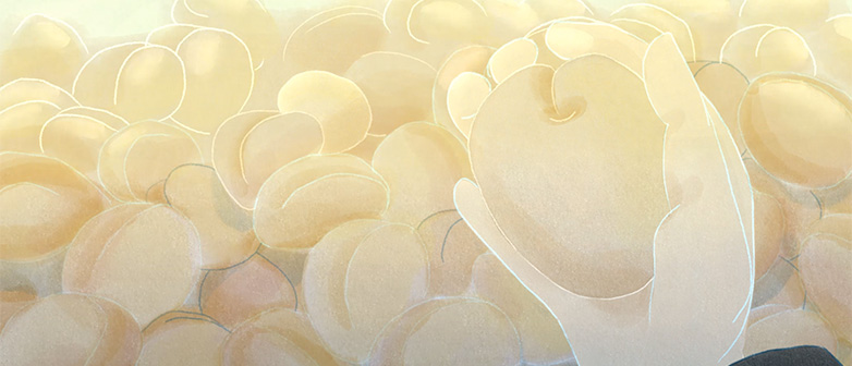 Animation: Eine Hand hält eine Frucht