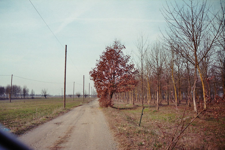 Film Still: Finding a Common Sense – Julius Lange 