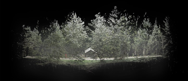 Nebelartige Darstellung eines Waldes mit kleiner Hütte in der Mitte, umgeben von Bäumen – atmosphärisch und leicht verschwommen.