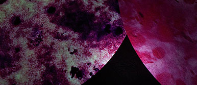 Abschlussarbeit Nadja Schöpfer, 2024