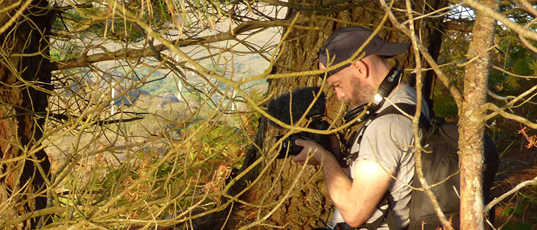 Person Fotografiert im Wald. Foto zur Verfügung gestellt von Marcus Maeder