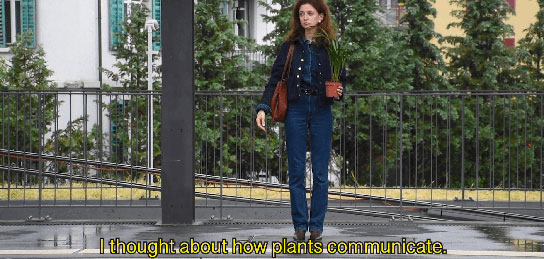 NonHumane Interaktionen