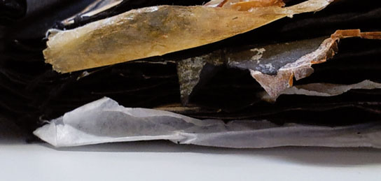 Bild GeSchichten im Querschnitt von Moana Clematide