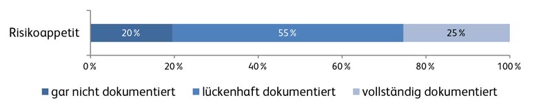 Dokumentation Risikoappetit