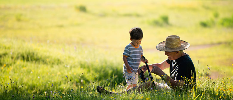 Viele Familienunternehmen bestehen schon lange auf dem Markt. Bild: Adobe Stock