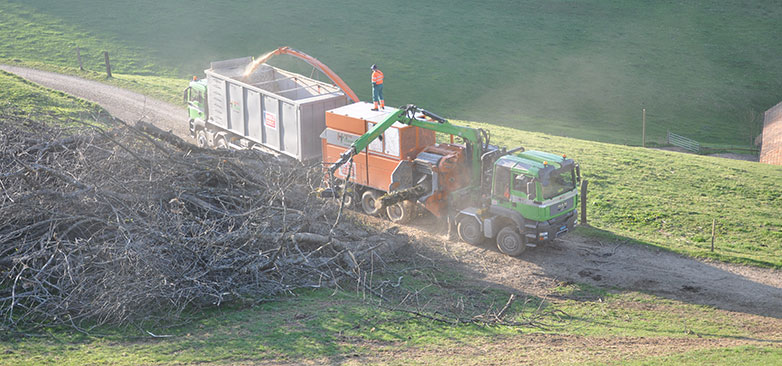 Feinstaub Äste Copyright holzenergie.ch