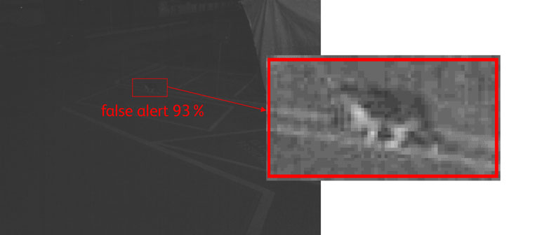 Intelligente Sensorik reduziert Lichtverschmutzung und Energieverbrauch der Strassenbeleuchtung: Die Sensoren erkennen trotz schwacher Beleuchtung die Katze, die Beleuchtungsstärke wird nicht erhöht.