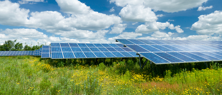 Bild von Solarpanels auf der Wiese