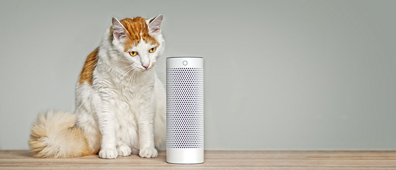 Sind Sprachassistenten die neuen Haustiere? Bild: Getty Images