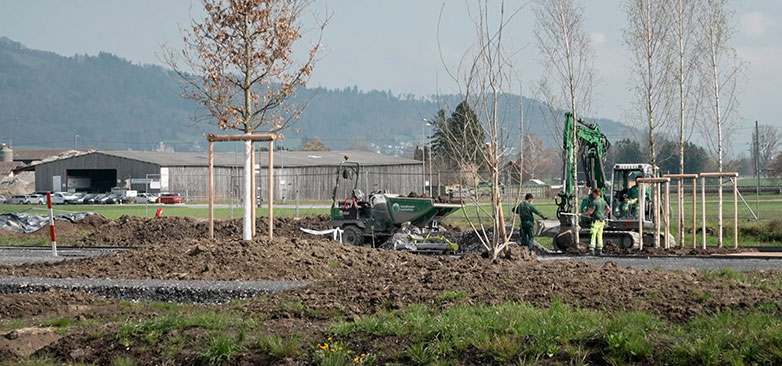 Linus Cart, Bachelor Video: Not in my Backyard