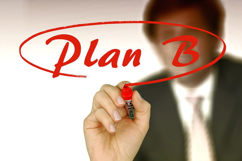 Businessplan, Plan B