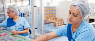 Es bleibt in der Familie