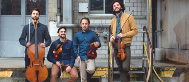 Diversion String Quartet