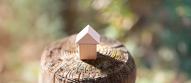 Kleines Spielhaus auf Baumstrunk