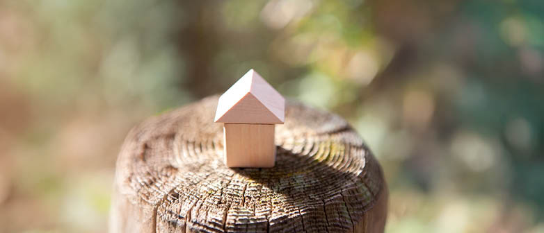 Kleines Spielhaus auf Baumstrunk