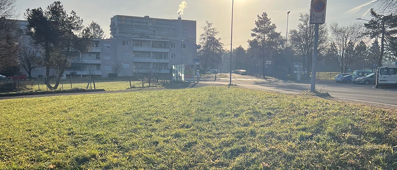 Baugrund für Tiny Houses in Zürich Affoltern
