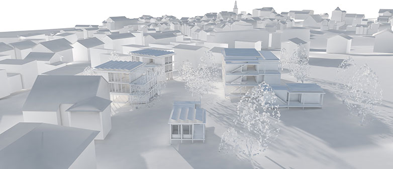 Gemeinde Buttisholz Tiny Houses Vision