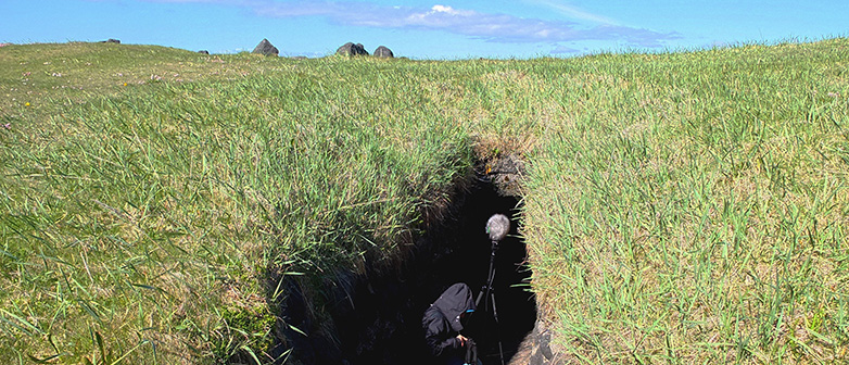Feldforschung Island