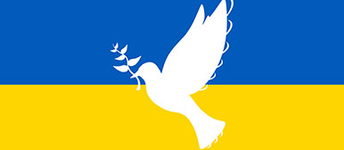 Ukraine flag