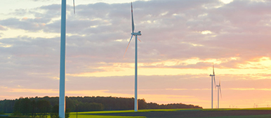 Windräder auf einem Feld