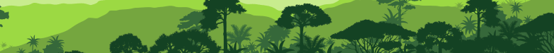 Animiertes Banner Regenwald