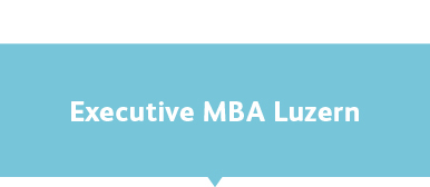 Executive MBA Luzern auf hellblauen Hintergrund
