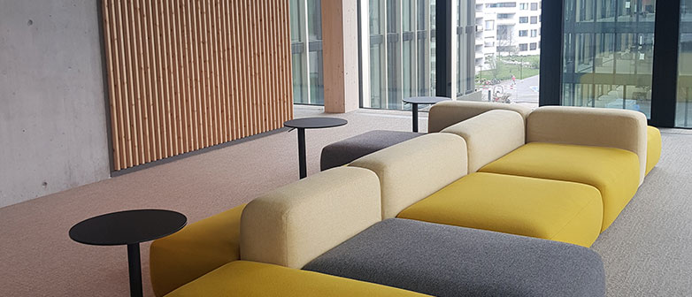 Gelb-graues Sofa in Bibliothek