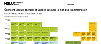 Grafik Curriculum Bachelor Business IT & Digital Transformation
