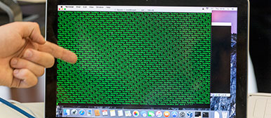 Bildschirm zeigt simulierter DDoS-Angriff.