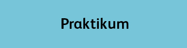 Praktikum