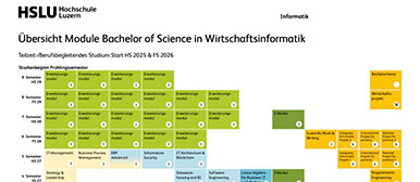 Grafik Curriculum Bachelor Wirtschaftsinformatik