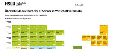 Grafik Curriculum Bachelor Wirtschaftsinformatik