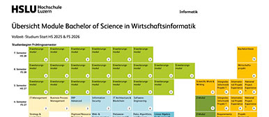 Grafik Curriculum Bachelor Wirtschaftsinformatik